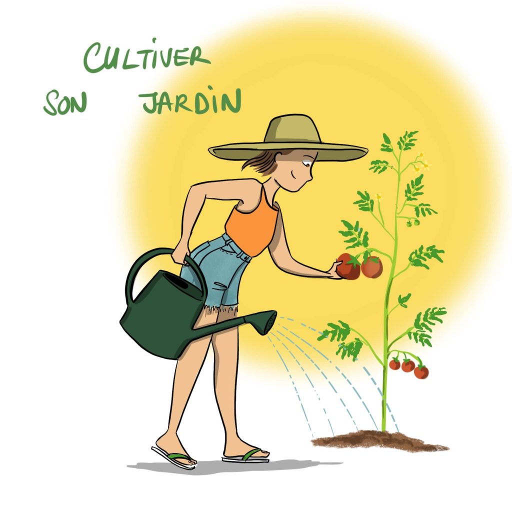 Illustration jardin