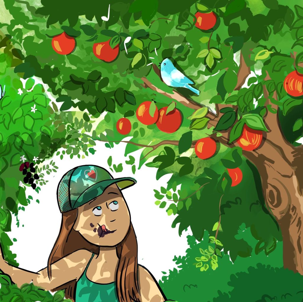 illustration jeunesse